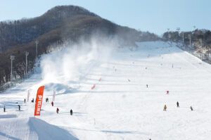 芝山滑雪場中級滑雪區