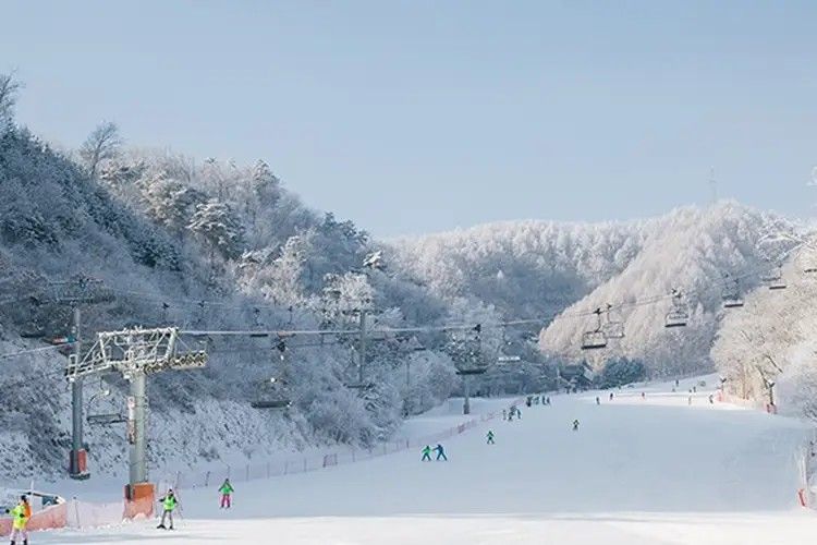 伊利西安滑雪場